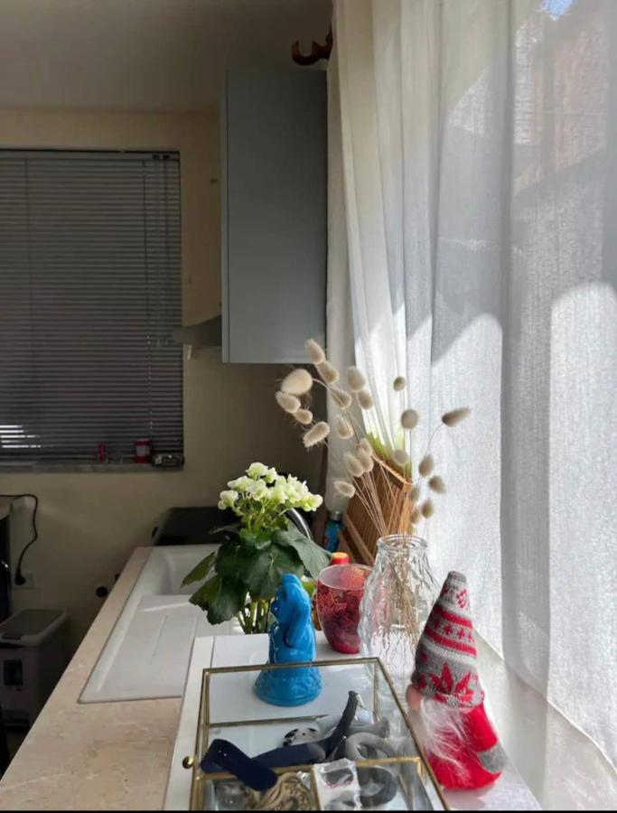 Brilant Studio Apartment City Center ติรานา ภายนอก รูปภาพ